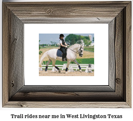 trail rides near me in West Livingston, Texas